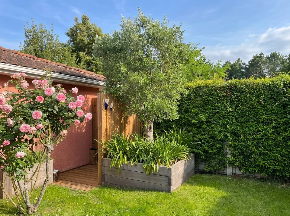 Jardin résidentiel ensoleillé avec entrée de maison