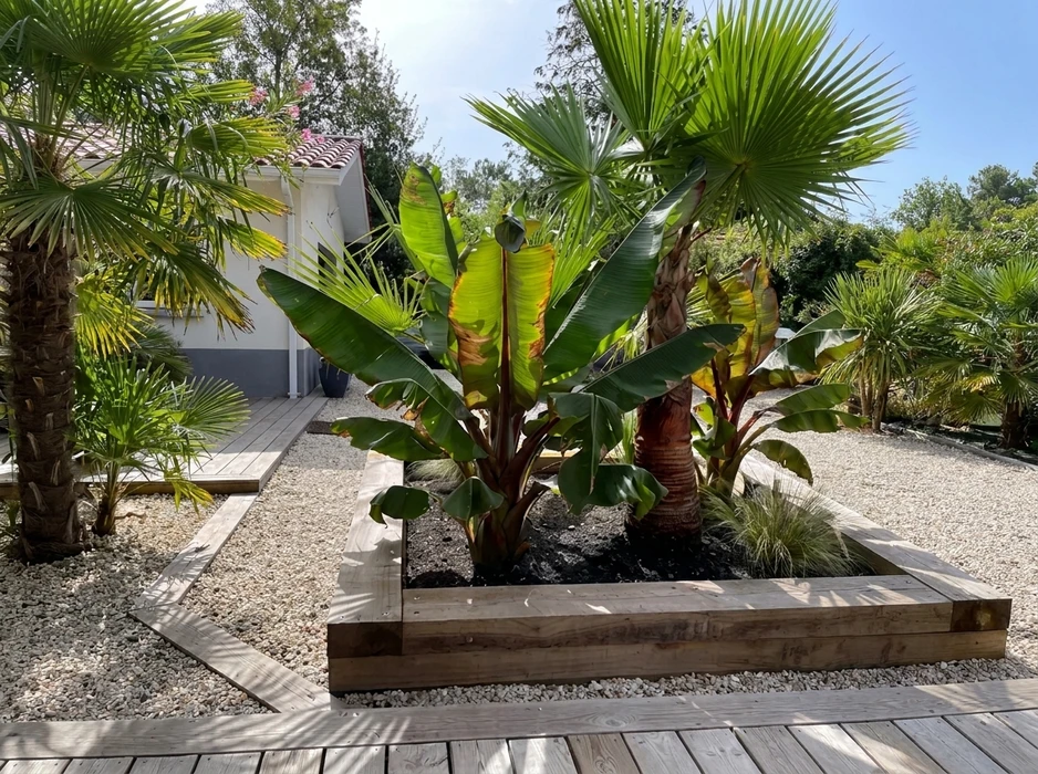 Jardin résidentiel avec pelouse verte entretenue, massifs de fleurs colorées incluant bougainvilliers roses, plantations en bacs et bordures paysagères