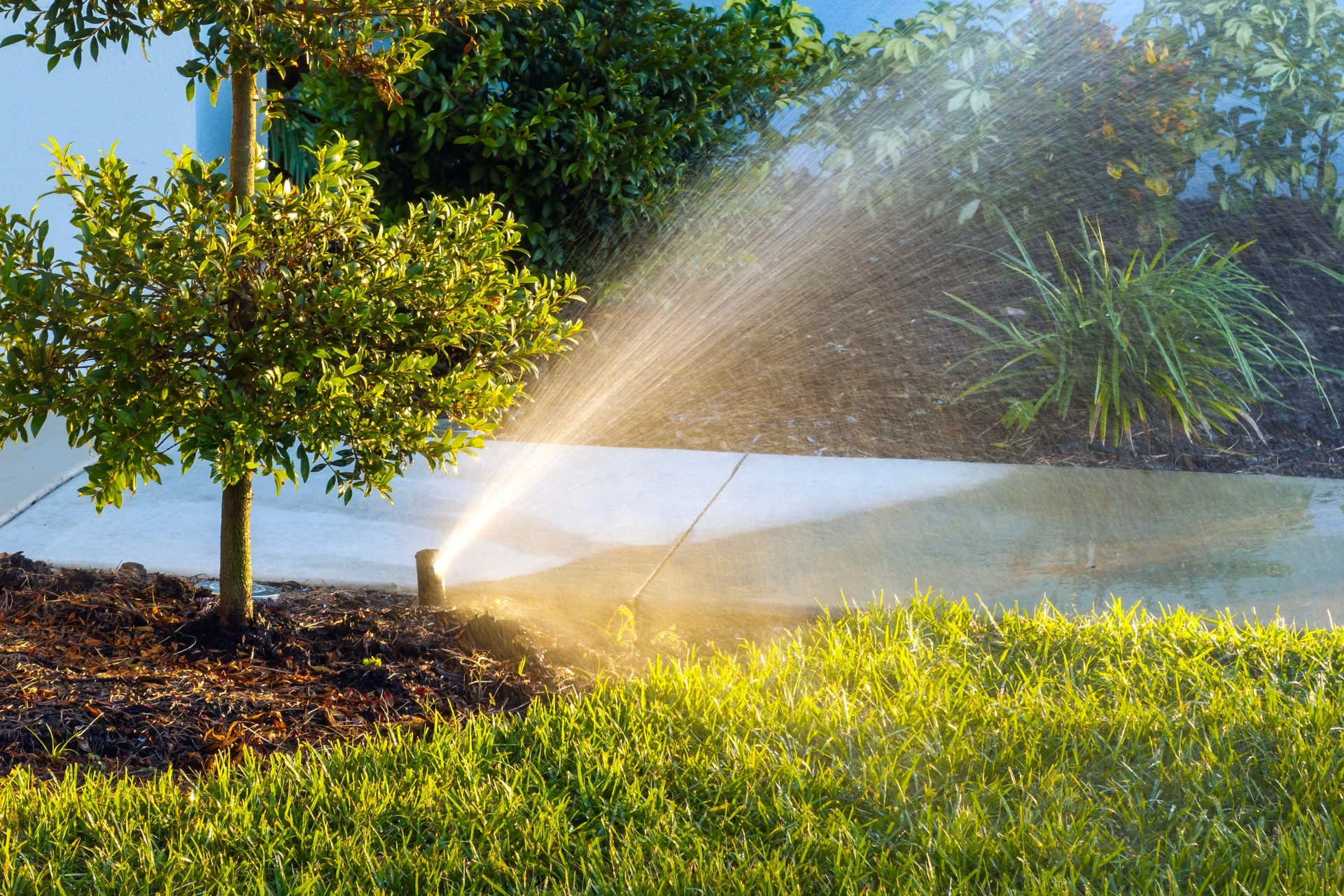 Jardin paysager luxuriant avec piscine couverte d'un volet roulant immergé, entourée d'une terrasse en bois composite avec transats blancs
