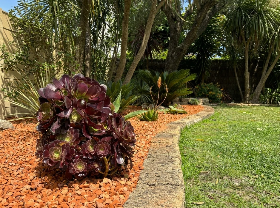 Jardin paysager méditerranéen avec allée courbe pavée en béton et briques rouges